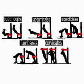 Tirante Musculador Ruf